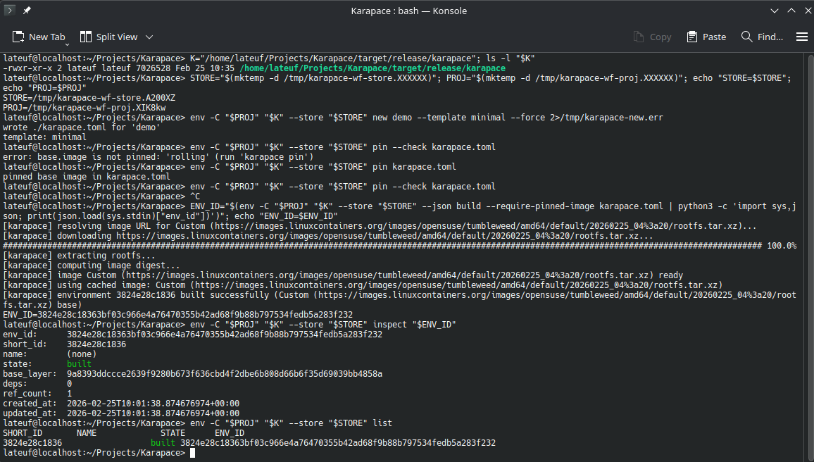 Build and inspect an environment